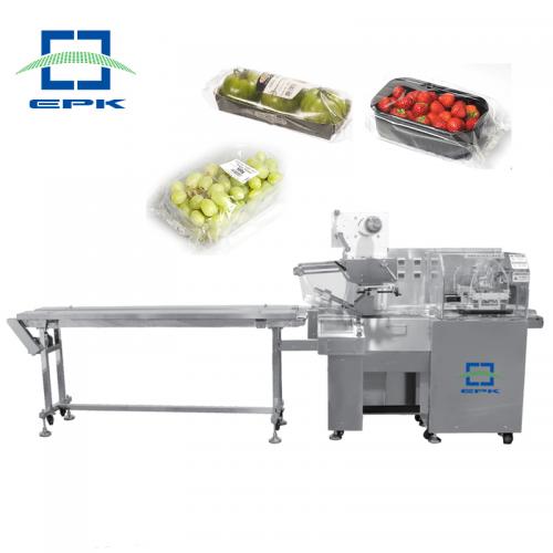 Reciprocating Motion Packing Machine