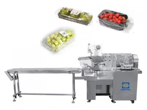 Reciprocating Motion Packing Machine